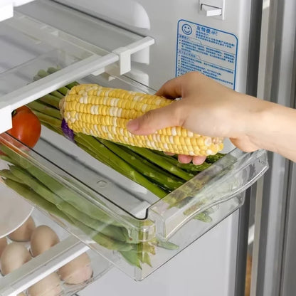 Under-Shelf Fridge Organizer — Egg, Fruit & Fresh Food Storage Rack