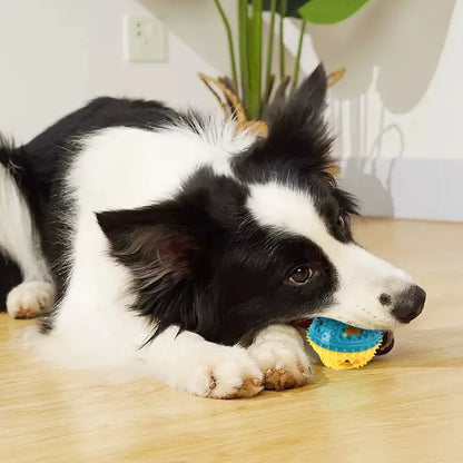 Dog Chew Toy Ball — Teeth Cleaning Leaking Food Interactive Puzzle Ball for Dogs